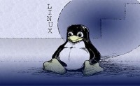 Linux命令:修改文件权限命令chmod、chgrp、chown详解